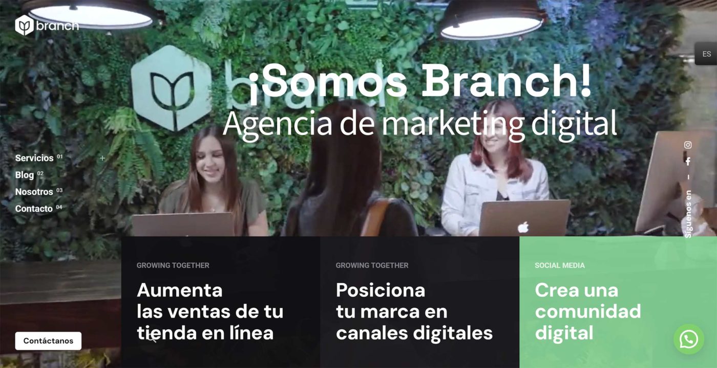 branch agencia seo en colombia