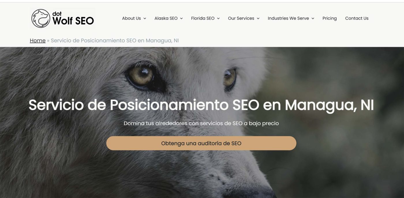 dotwolfseo agencia seo en nicaragua