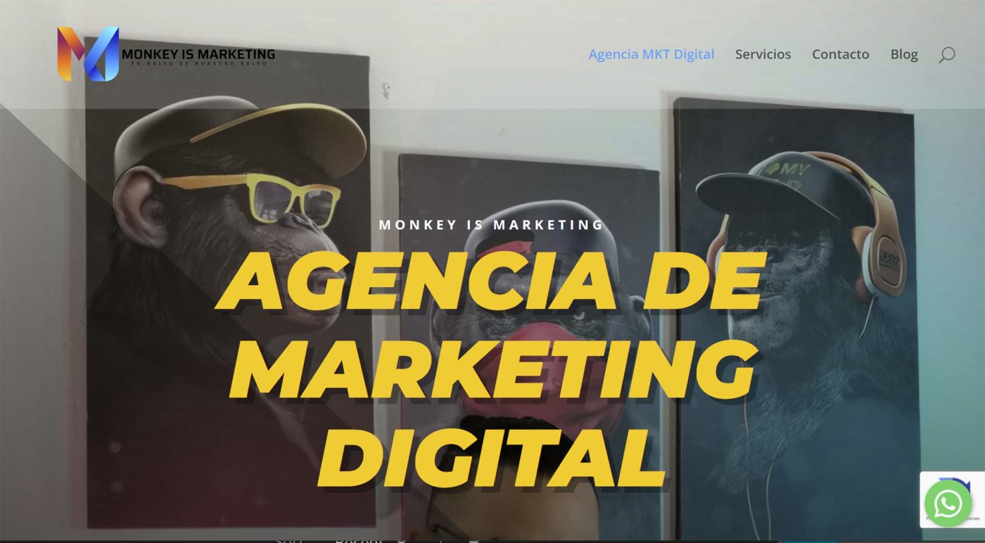 monkeyismarketing agencia seo en republica dominicana